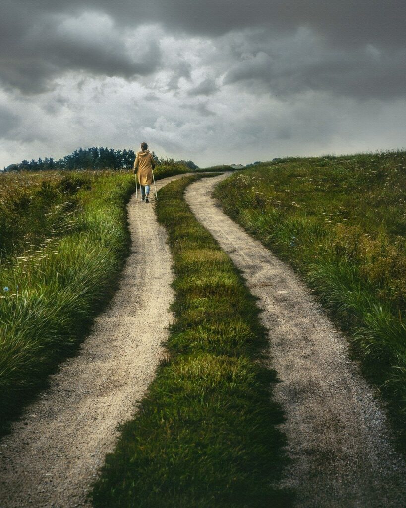 path, rural, nature-6567149.jpg